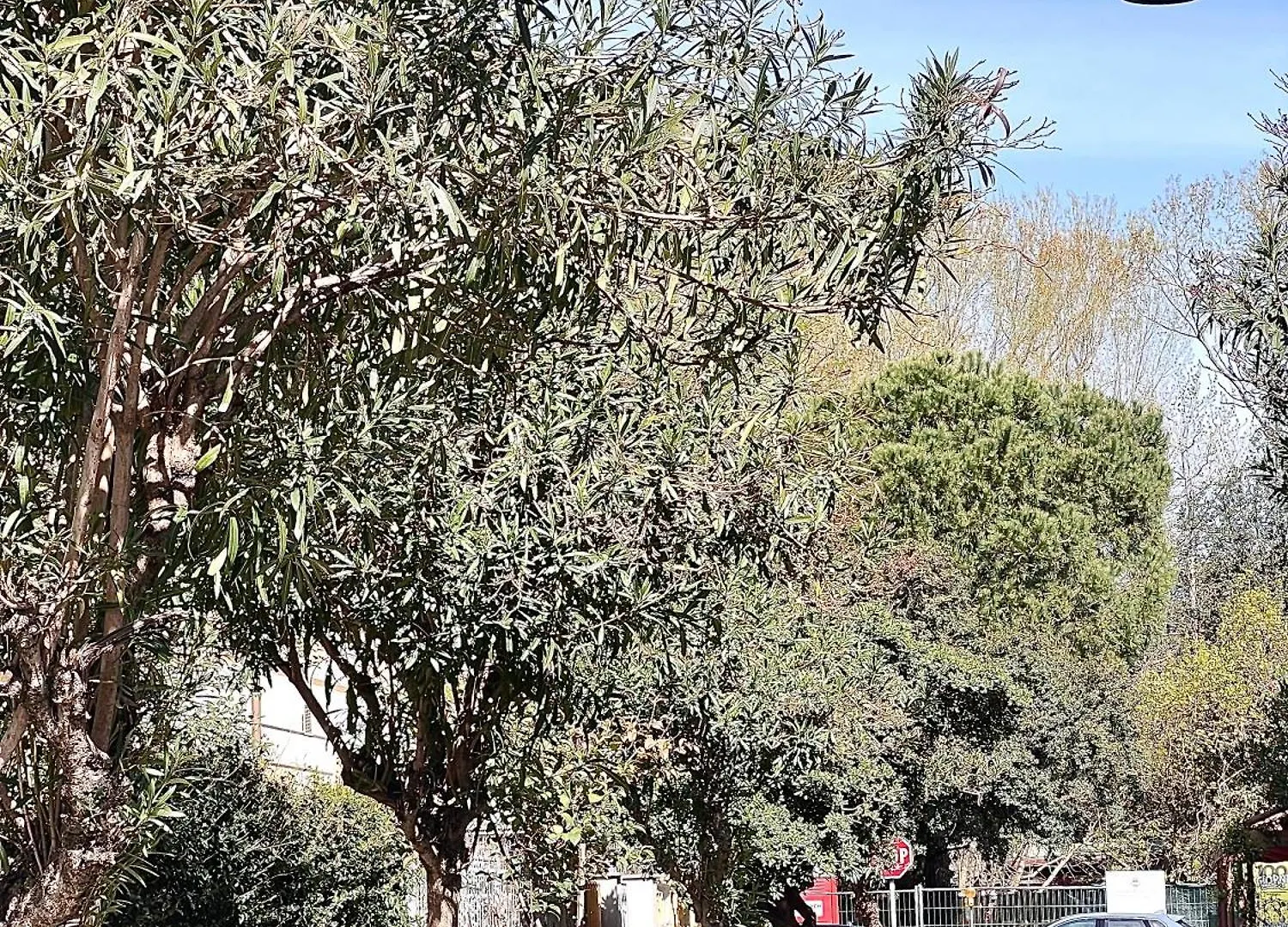 Apartamento Casa Sant'Andrea Viareggio 0*,